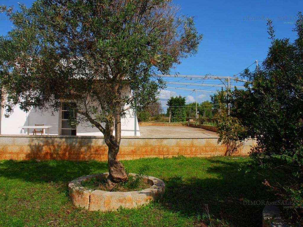 Casa indipendente a Salve in CONTRADA SPECOLIZZI - Foto 5
