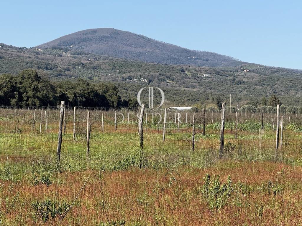Terreno a Roccastrada in località Monte Lattaia ,snc - Foto 2