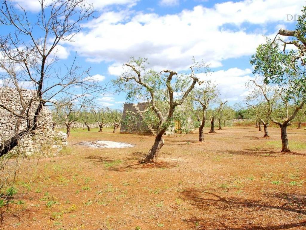 Rustico / casale a Tricase in CONTRADA MATINE - Foto 3