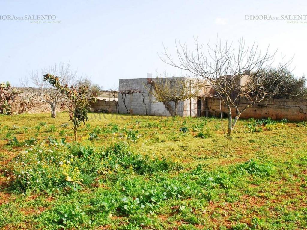 Rustico / casale a Morciano di leuca in VIA DE AMICIS - Foto 3