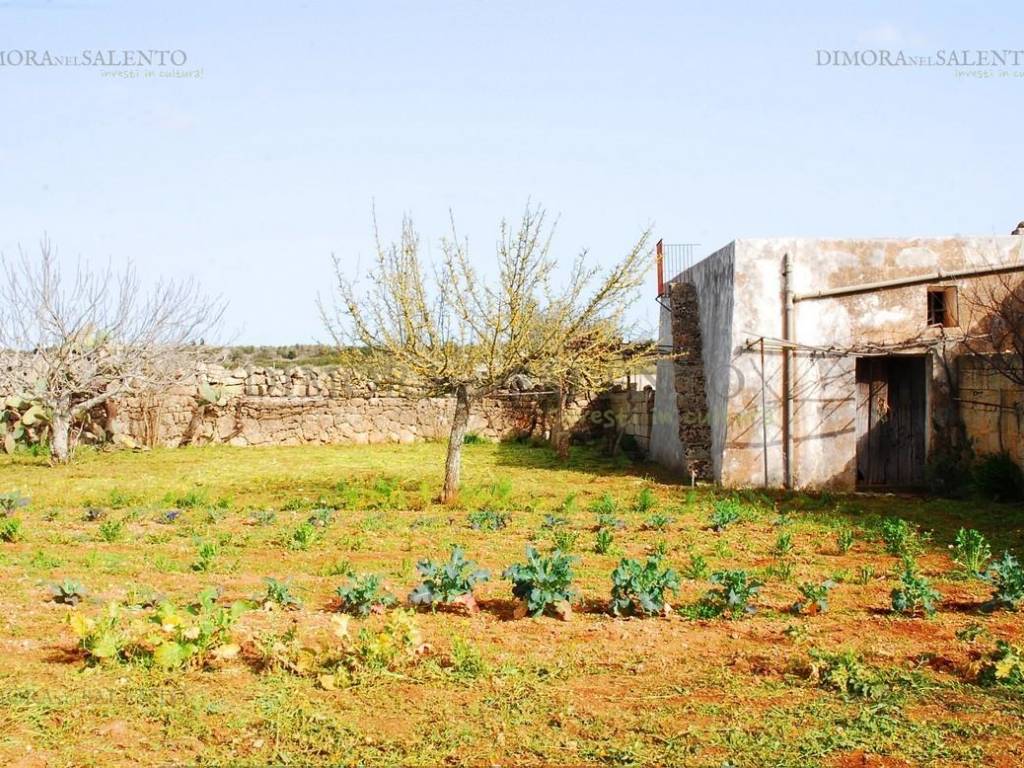 Rustico / casale a Morciano di leuca in VIA DE AMICIS - Foto 4