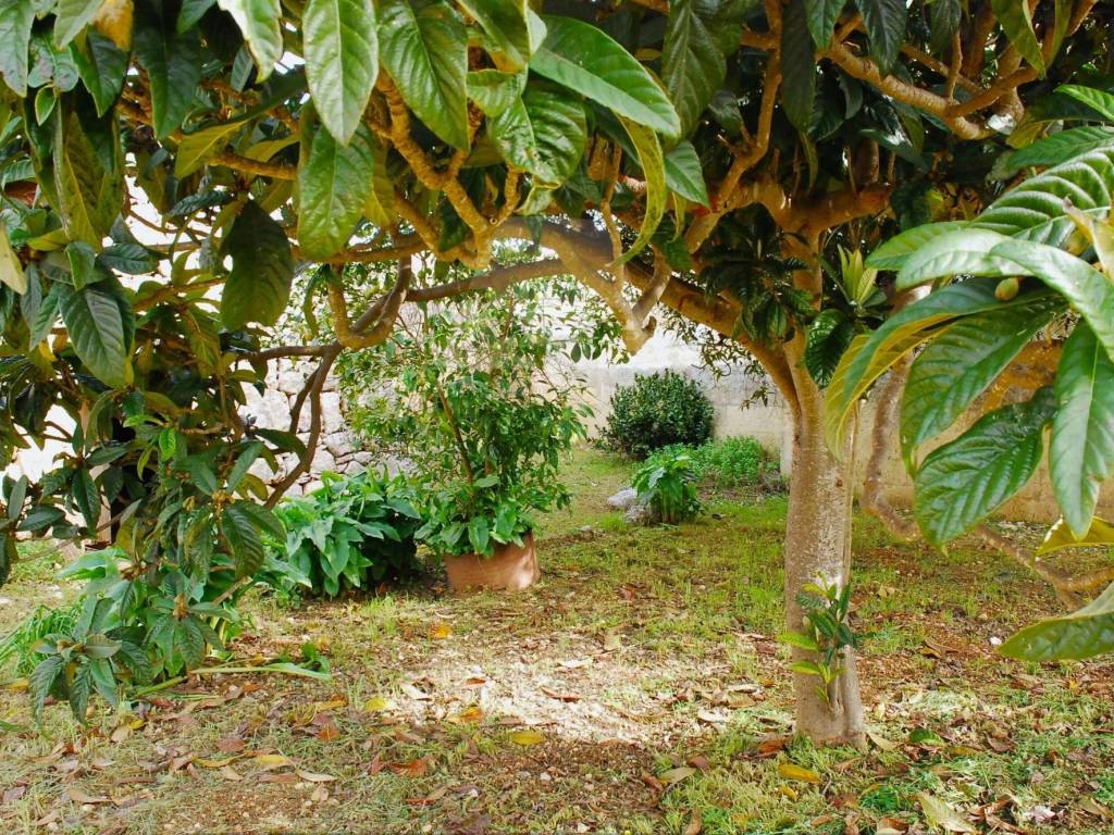 Rustico / casale a Patù in VIA GIOVANNI PASCOLI - Foto 5