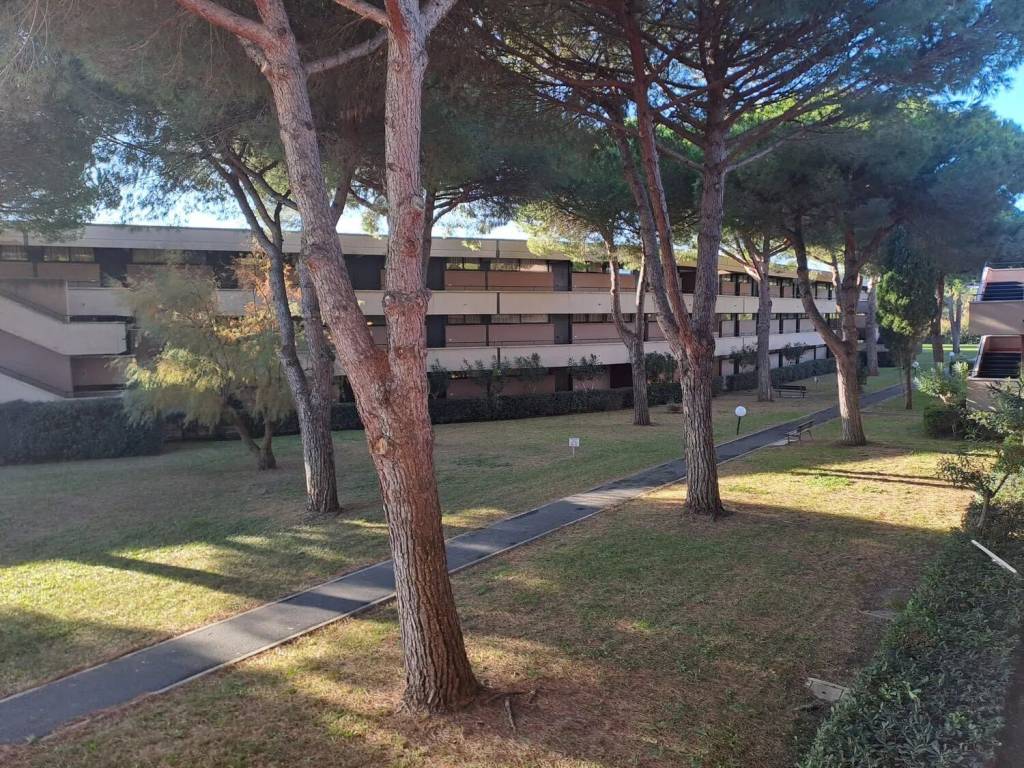 Appartamento a Bibbona in Strada Provinciale dei Melograni, 40 - Foto 2