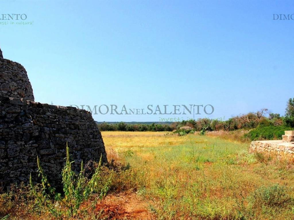 Rustico / casale a Alessano in SP 79 - Foto 3