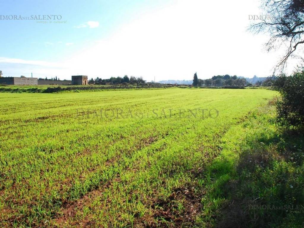 Terreno a Alessano in SP242 - Foto 4