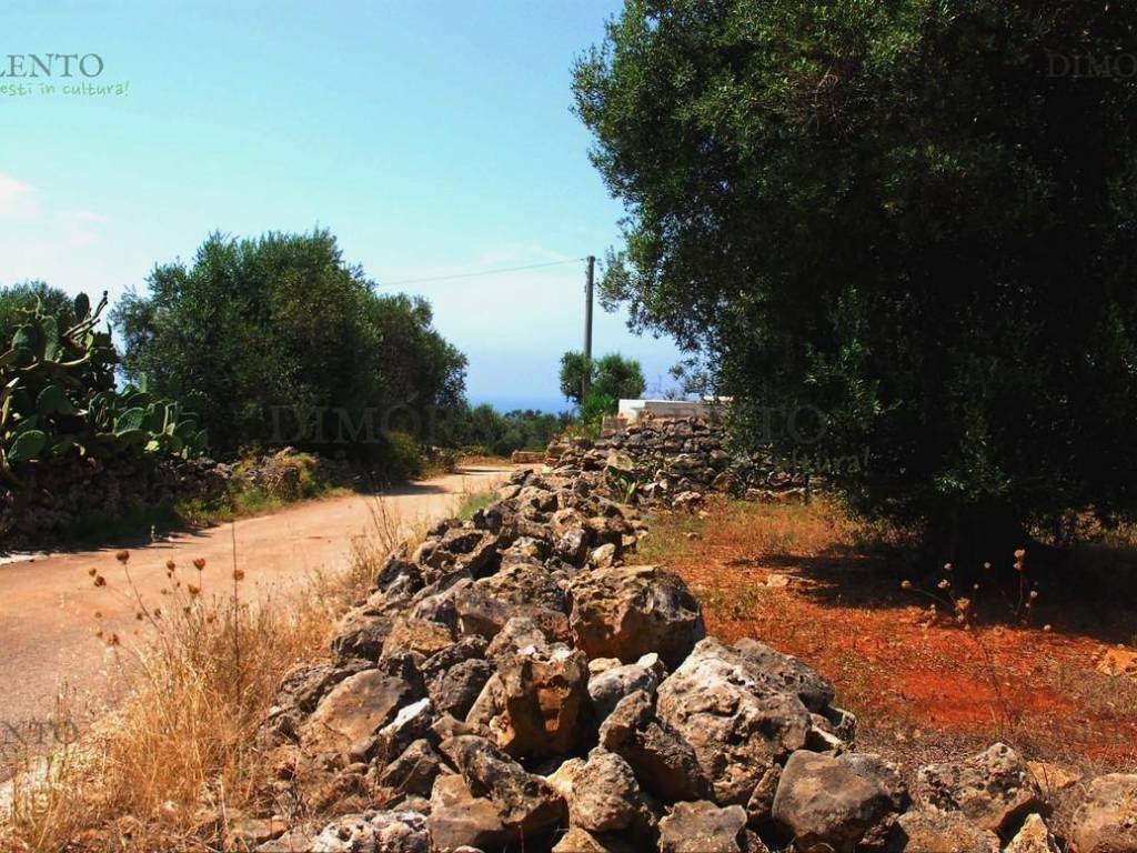 Terreno a Patù in CONTRADA SALATELLE - Foto 2