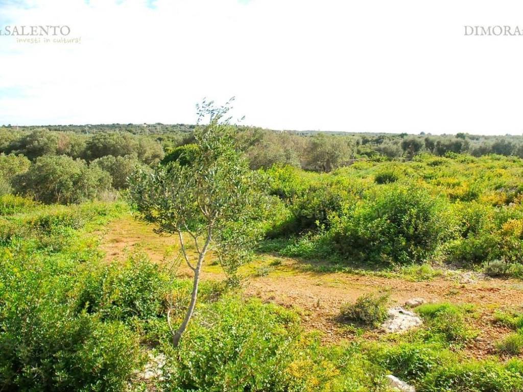 Terreno a Patù - Foto 4