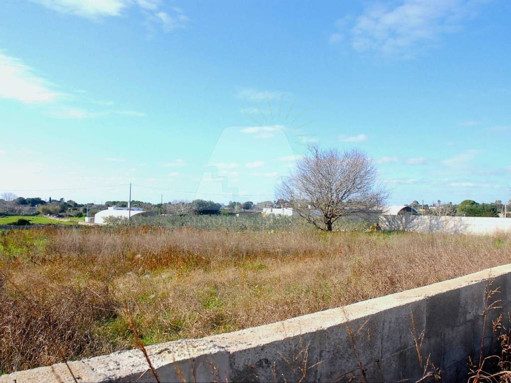 Terreno a Alessano in VIA F. CRISPI - Foto 2