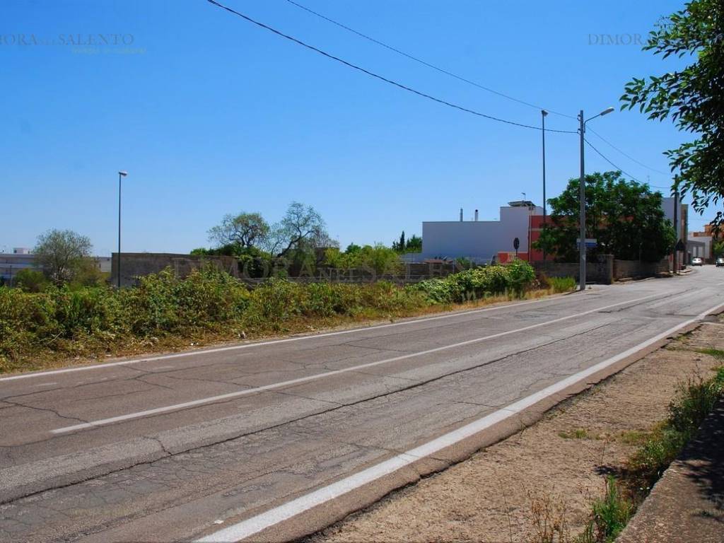 Terreno a Alessano in SP242 - Foto 5