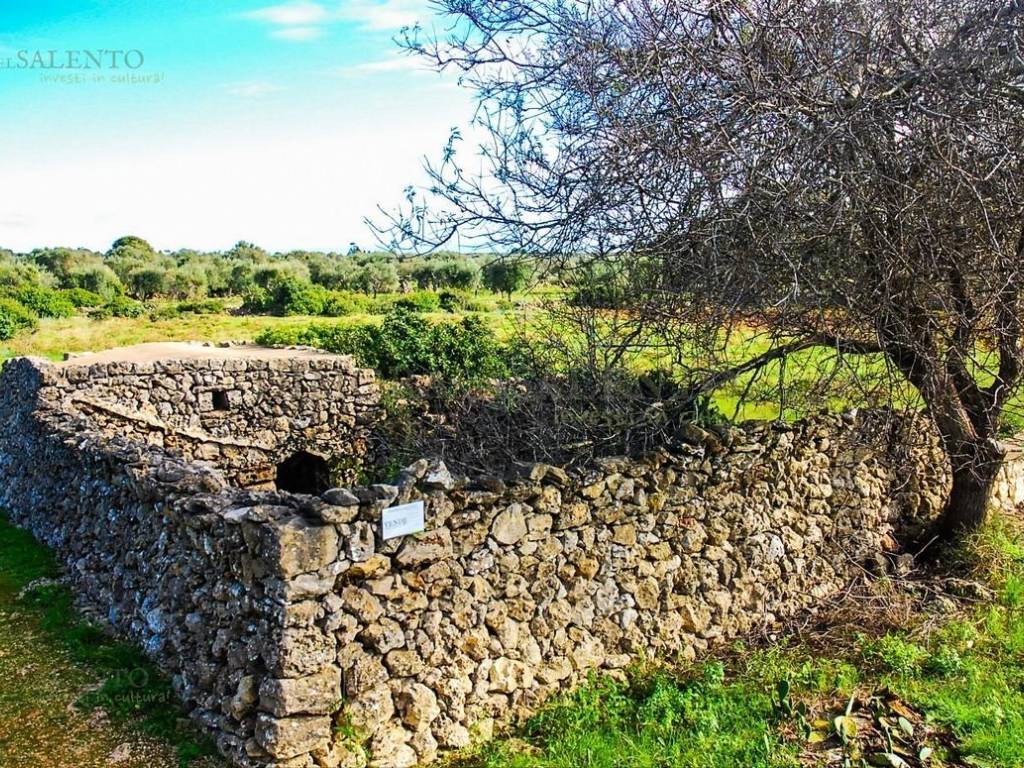 Rustico / casale a Patù in SP 192 - Foto 2