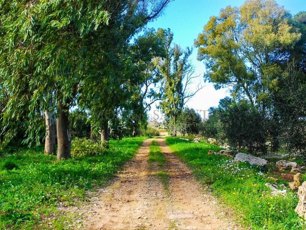 Rustico / casale a Patù in SP 192 - Foto 3