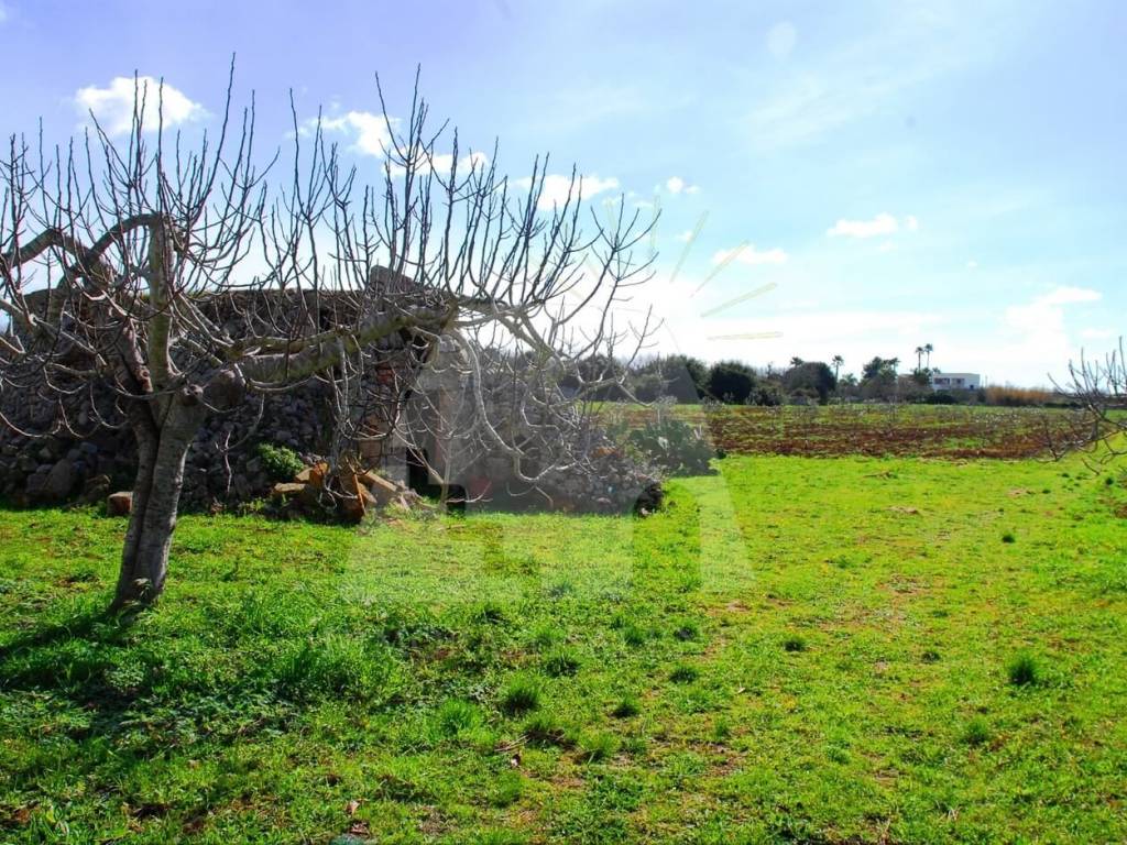 Terreno a Presicce-acquarica in VIA MAZZINI - Foto 2