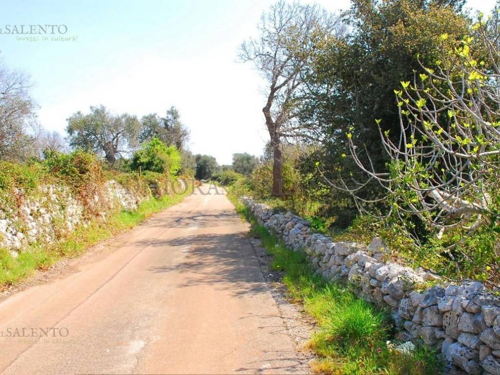 Terreno a Morciano di leuca in VIA MURGE - Foto 2