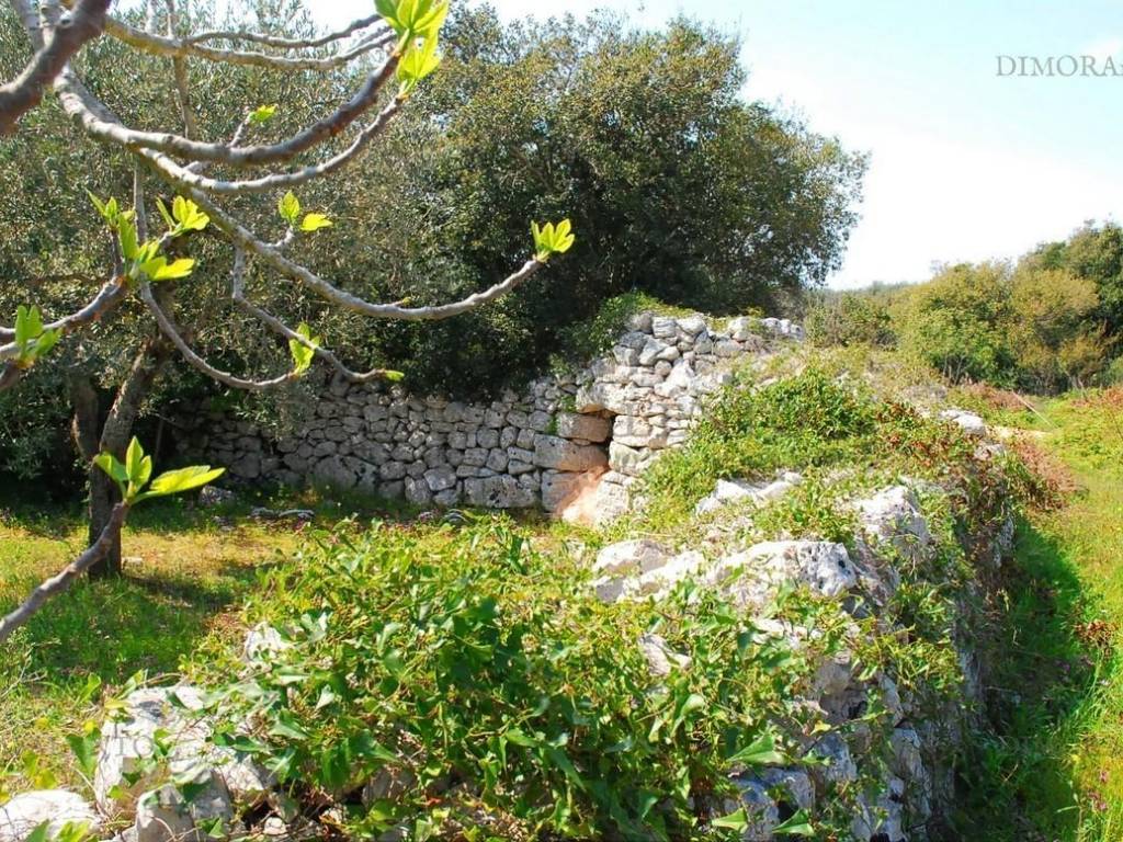 Terreno a Morciano di leuca in VIA MURGE - Foto 3