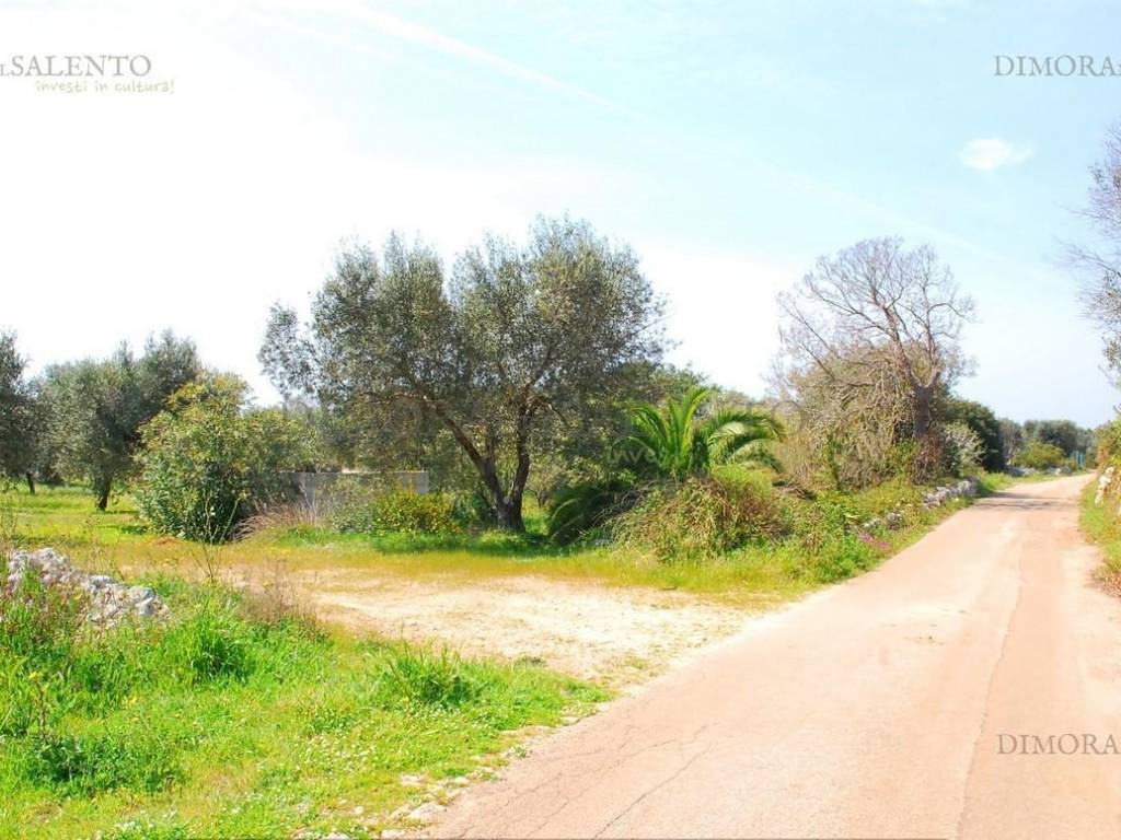 Terreno a Morciano di leuca in VIA MURGE - Foto 4