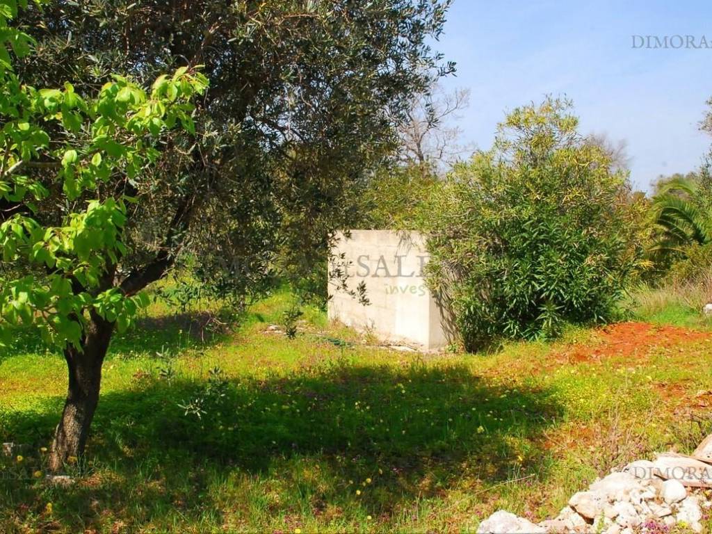 Terreno a Morciano di leuca in VIA MURGE - Foto 5
