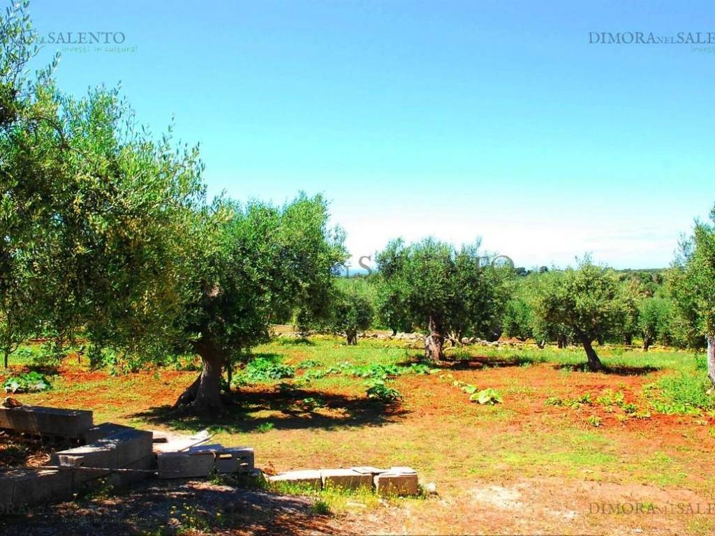 Terreno a Castrignano del capo in CONTRADA VOLITO - Foto 2