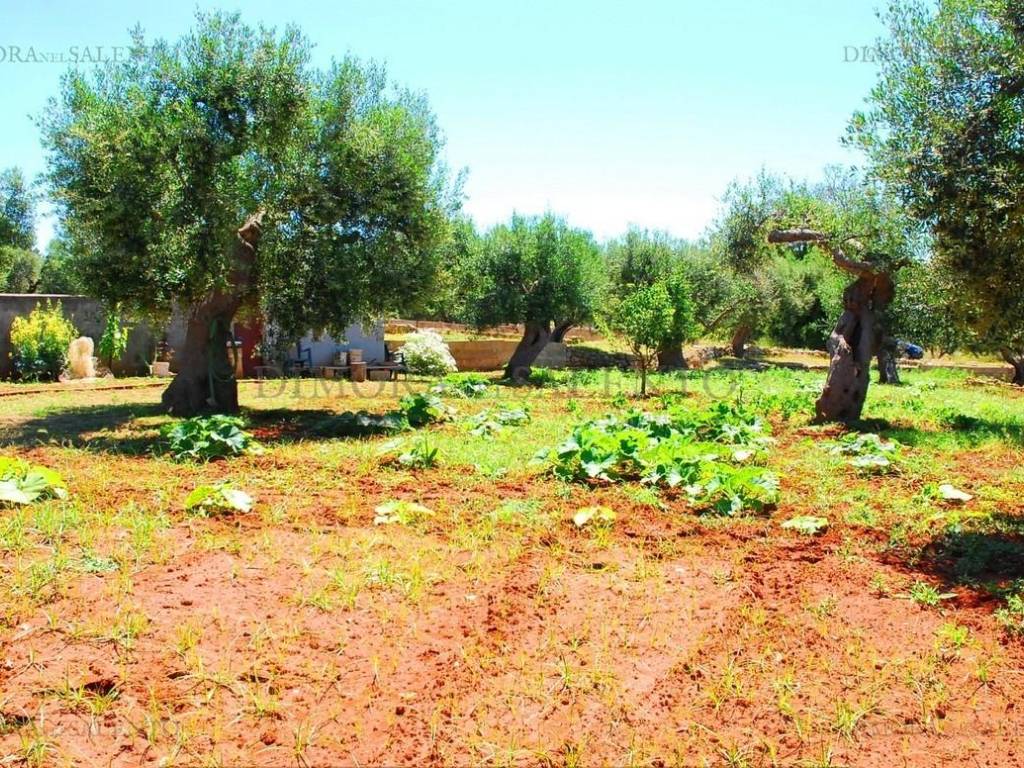 Terreno a Castrignano del capo in CONTRADA VOLITO - Foto 4
