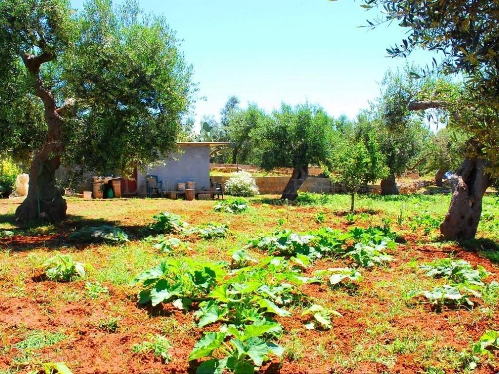 Terreno a Castrignano del capo in CONTRADA VOLITO - Foto 5