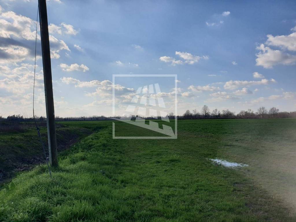 Terreno a Montecchio emilia in Strada Sacca - Foto 4