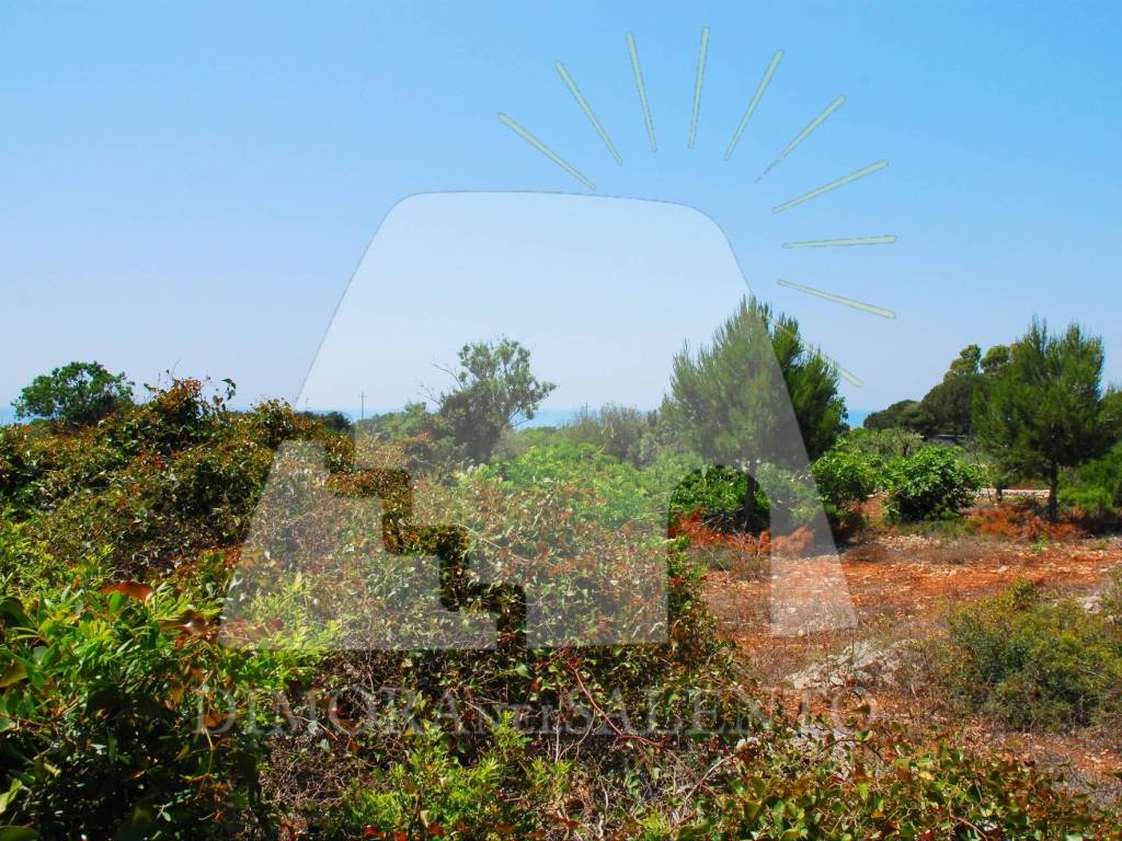 Terreno a Salve in Strada Vicinale Profichi - Foto 5