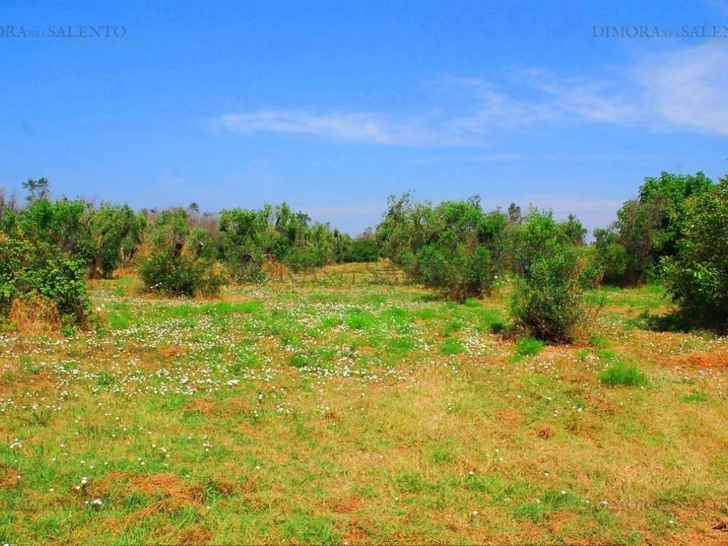 Rustico / casale a Salve in VIA SANT'ANNA - Foto 2