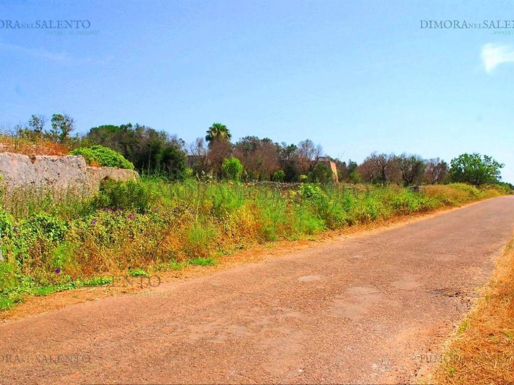 Terreno a Presicce-acquarica in CONTRADA VIA CELLE - Foto 2