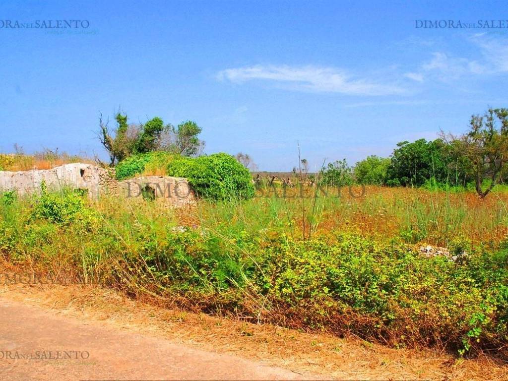 Terreno a Presicce-acquarica in CONTRADA VIA CELLE - Foto 3