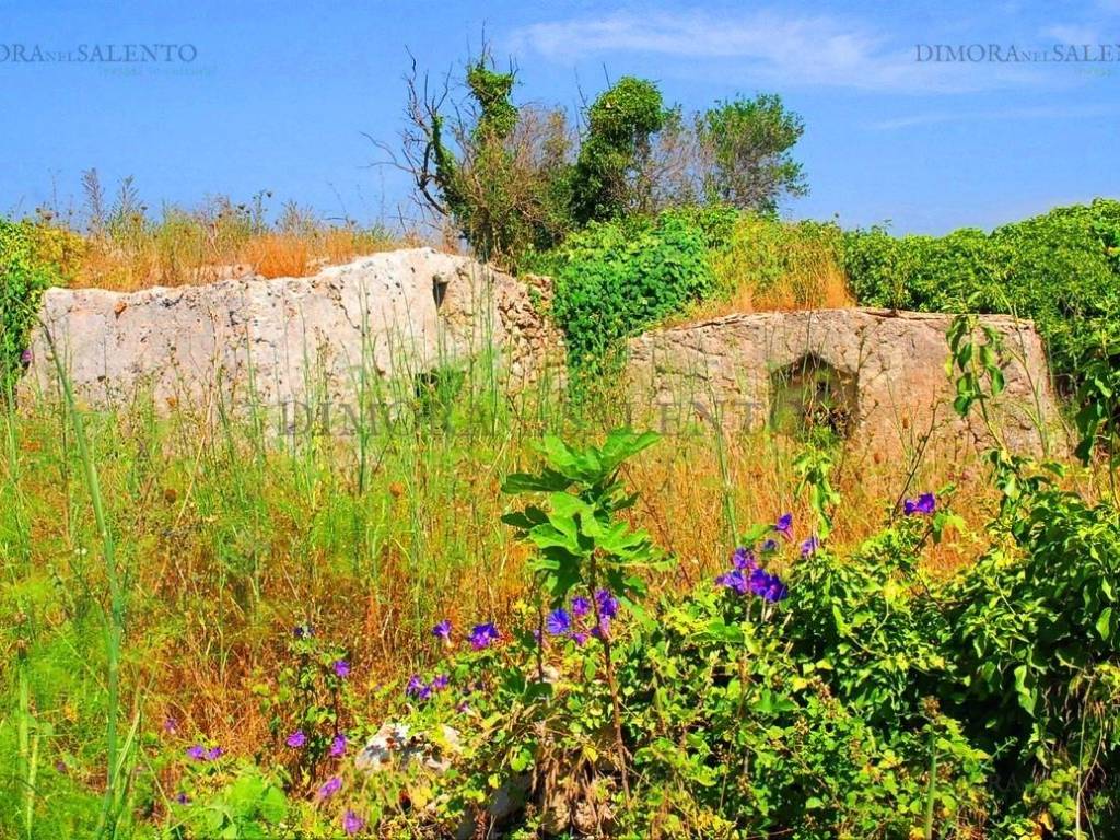 Terreno a Presicce-acquarica in CONTRADA VIA CELLE - Foto 5