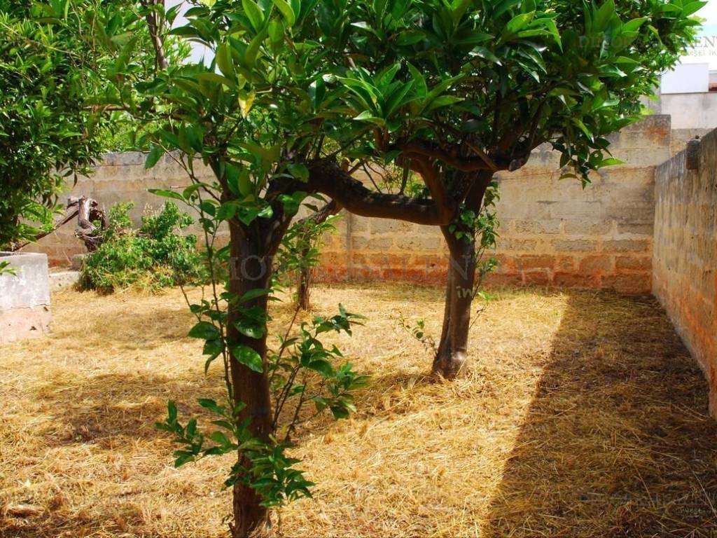 Terreno a Salve in VIA MACCHIAVELLI - Foto 4