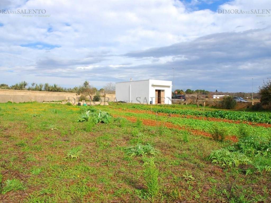 Terreno a Salve in VIA SALVO D'ACQUISTO - Foto 4