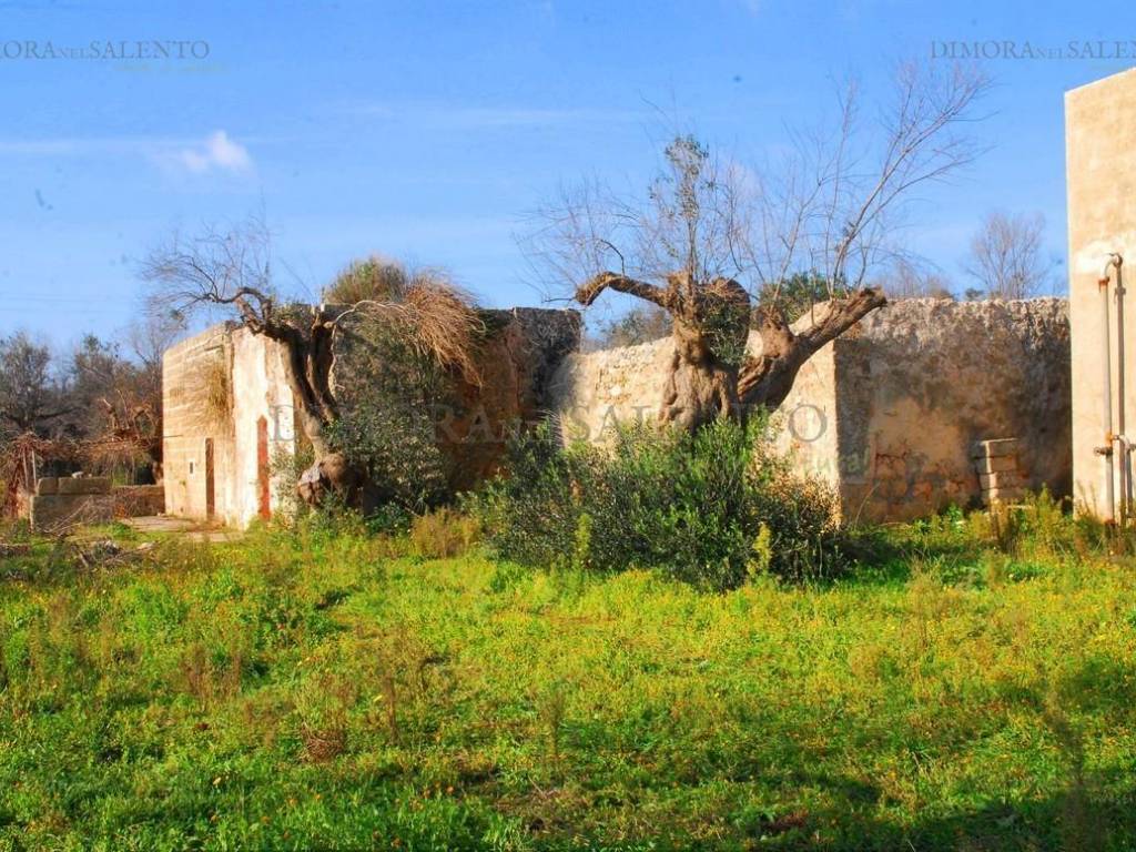 Rustico / casale a Castrignano del capo in VIA SAN GIUSEPPE - Foto 2