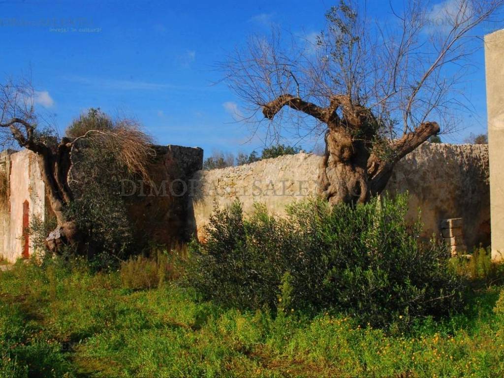 Rustico / casale a Castrignano del capo in VIA SAN GIUSEPPE - Foto 3