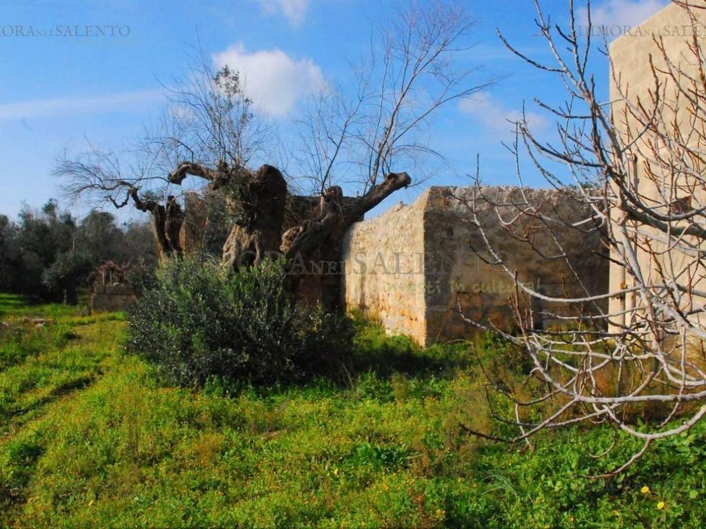 Rustico / casale a Castrignano del capo in VIA SAN GIUSEPPE - Foto 4