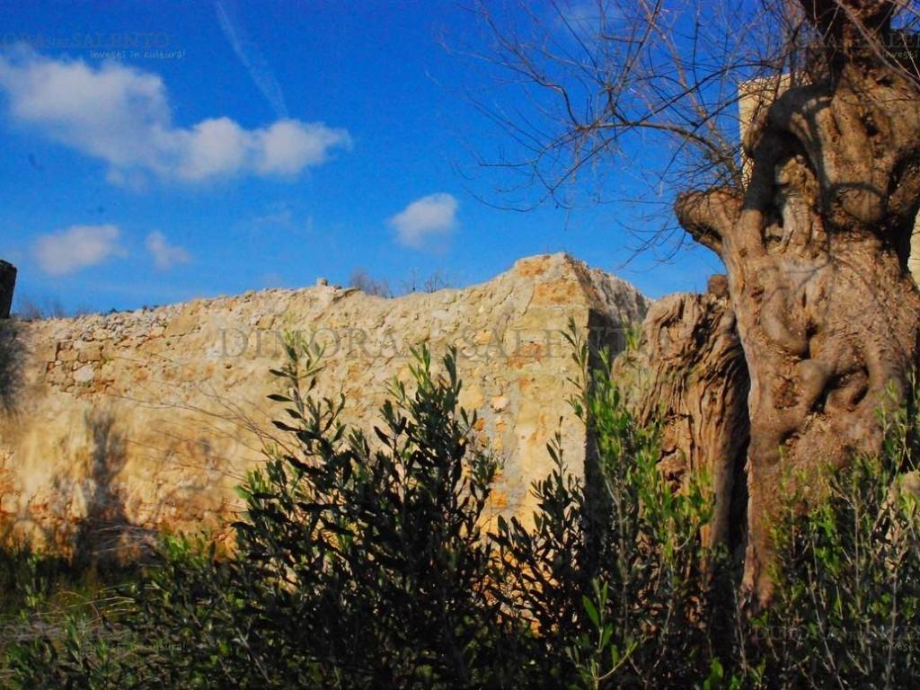 Rustico / casale a Castrignano del capo in VIA SAN GIUSEPPE - Foto 5