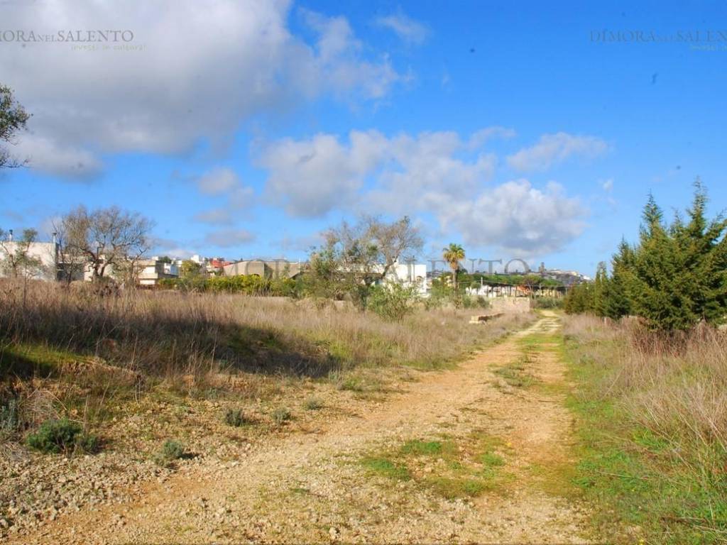 Terreno a Specchia in STRADA VICINALE LOGNE - Foto 2
