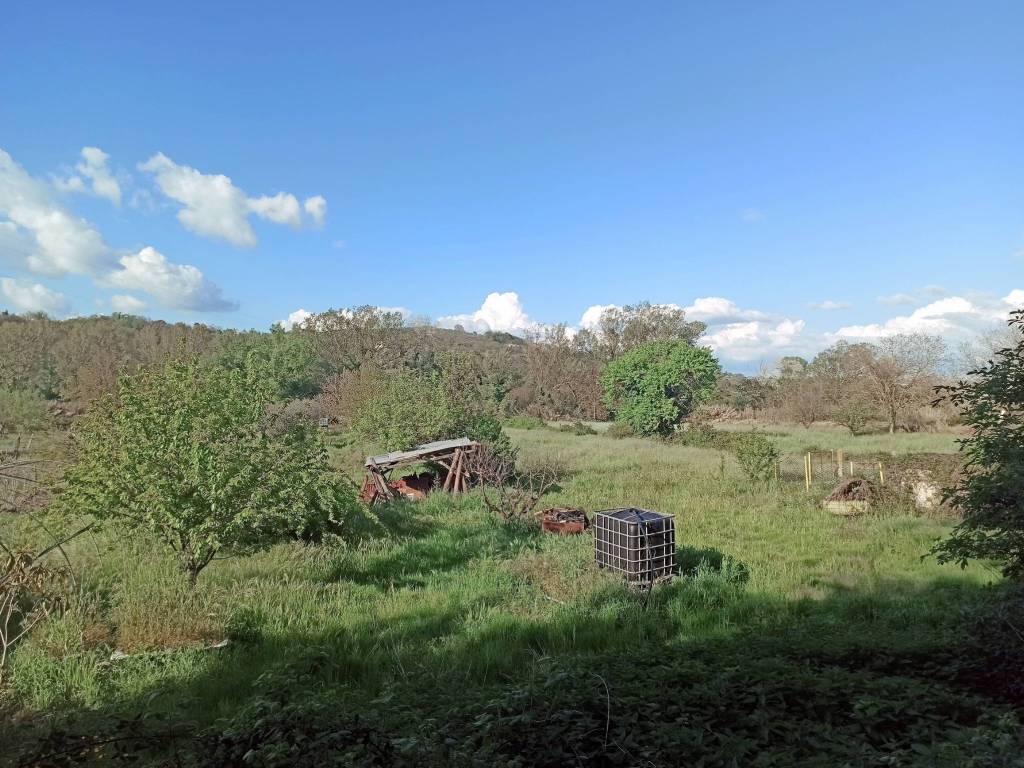 Terreno a Orte in San Michele - Foto 3