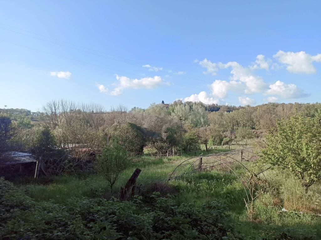 Terreno a Orte in San Michele - Foto 4