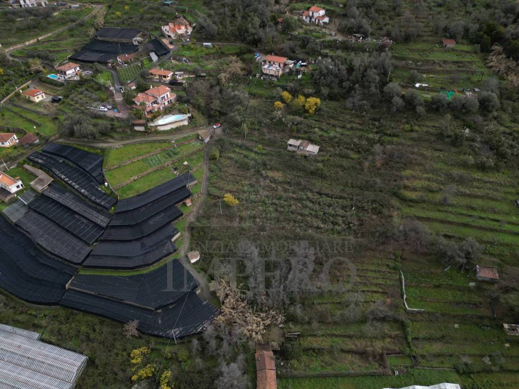 Terreno a Vallecrosia in SP59, 39 - Foto 2