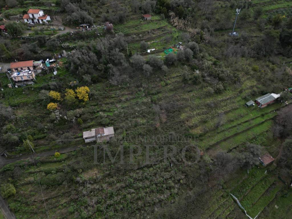 Terreno a Vallecrosia in SP59, 39 - Foto 4