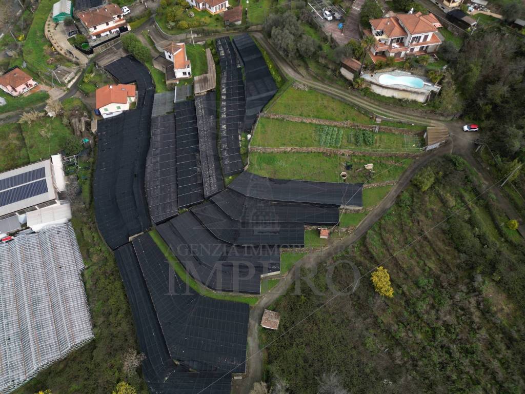 Terreno a Vallecrosia in SP59, 39 - Foto 5