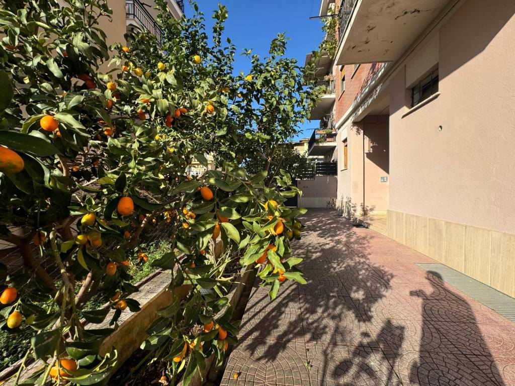 Attico / mansarda a Latina in Via degli Ausoni - Foto 3