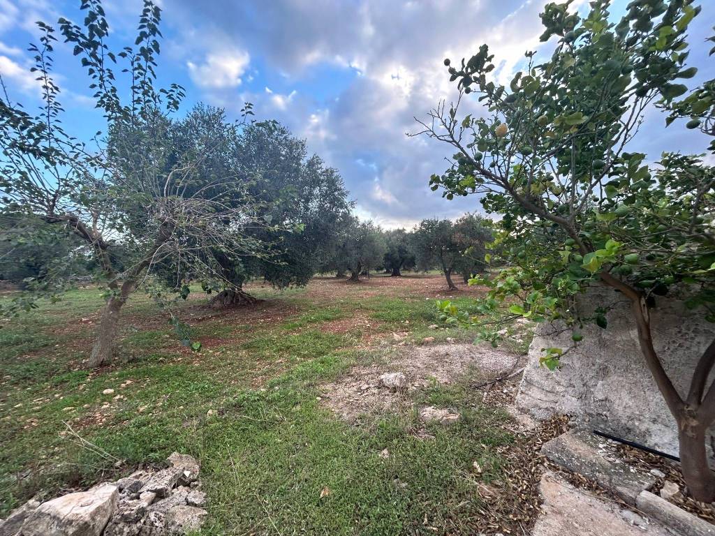 Terreno a Martina franca in Strada Conserva Piccola Zona H - Foto 4