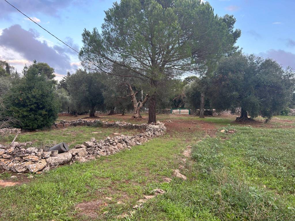 Terreno a Martina franca in Strada Conserva Piccola Zona H - Foto 5