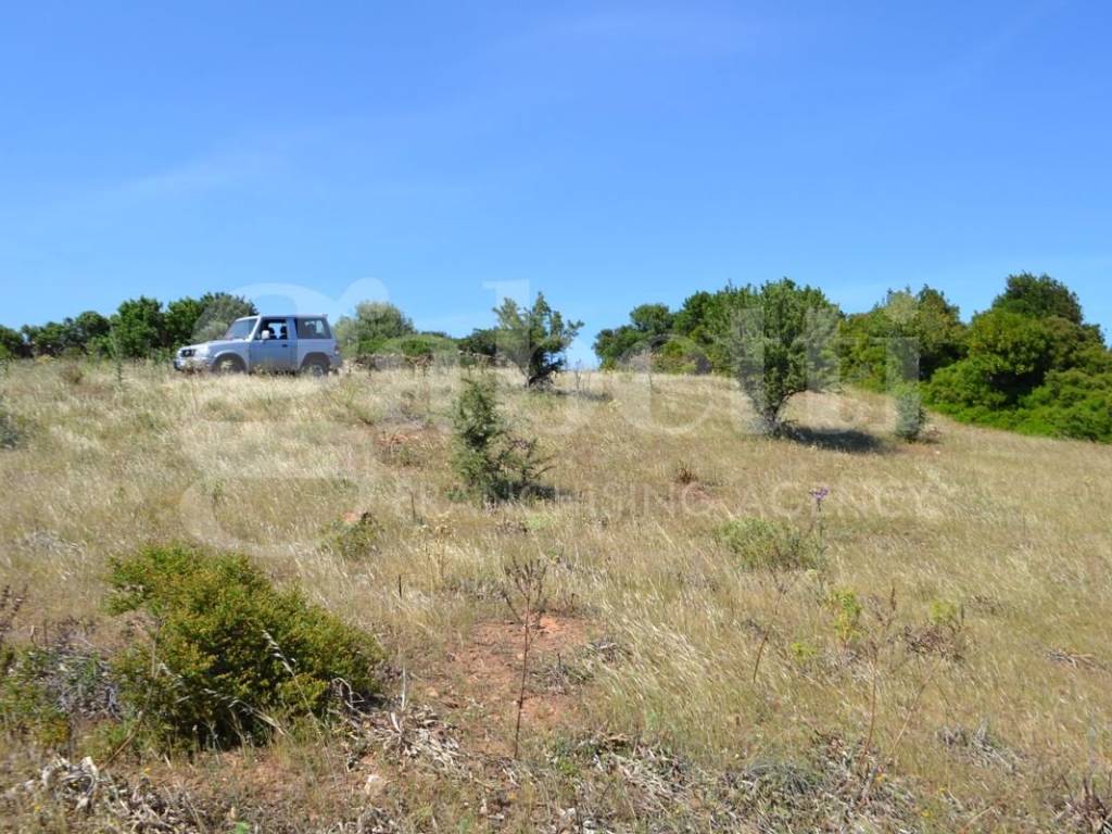 Terreno a Posada in Località Sas Murtas, 1 - Foto 4
