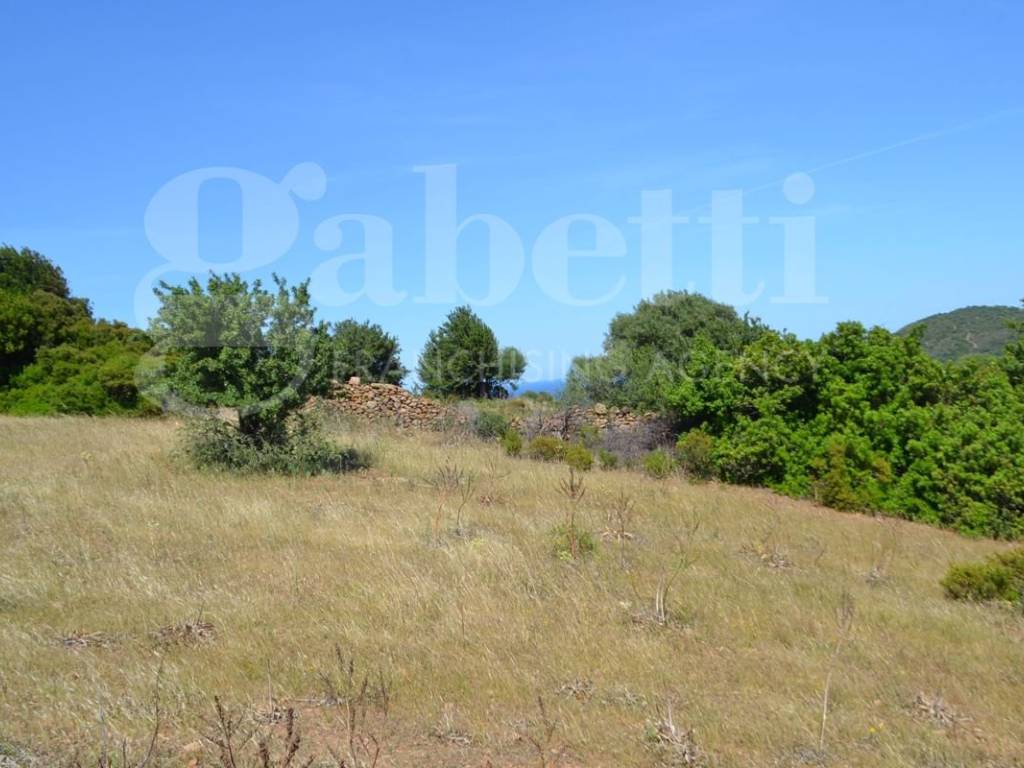 Terreno a Posada in Località Sas Murtas, 1 - Foto 5