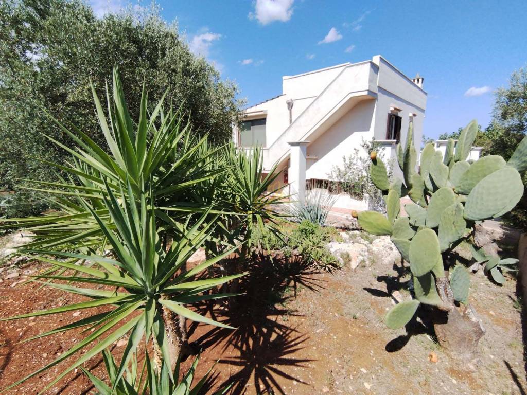 Villa a Ostuni in contrada san giovanni - Foto 2
