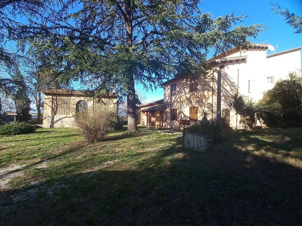 Rustico / casale a Trevi in Località Colle Basso - Foto 3