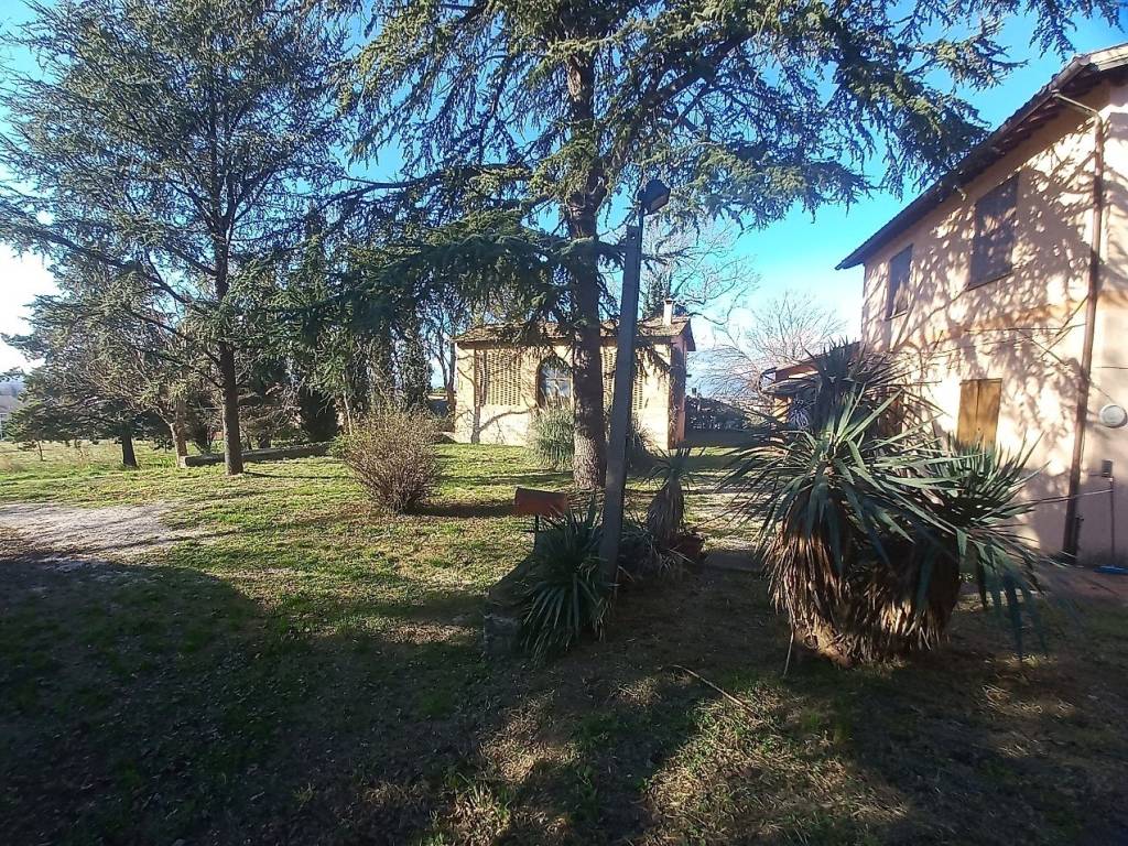 Rustico / casale a Trevi in Località Colle Basso - Foto 5