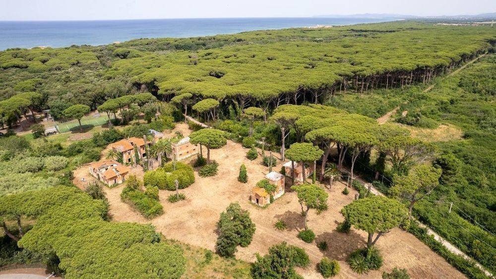 Rustico / casale a Castagneto carducci in Via località sant'uberto bolgheri, 1 - Foto 3